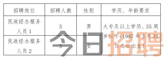 盐山县发展和改革局最新招聘信息概览，职位、要求与申请指南