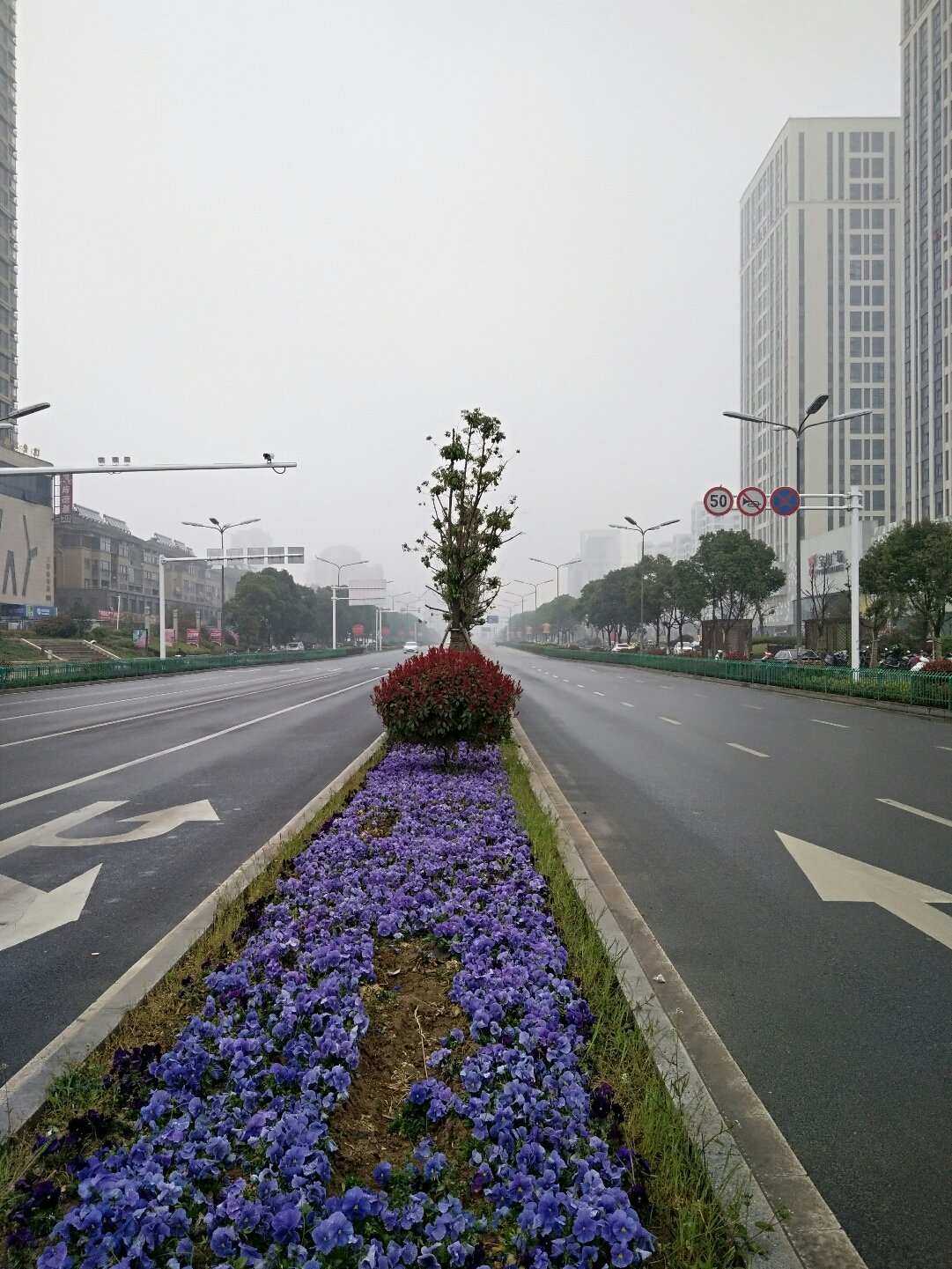 宜城路街道最新天气预报汇总