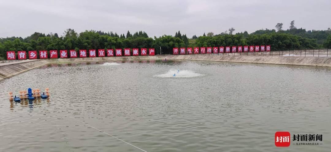 中滩镇最新项目，引领地区发展的强大动力源泉