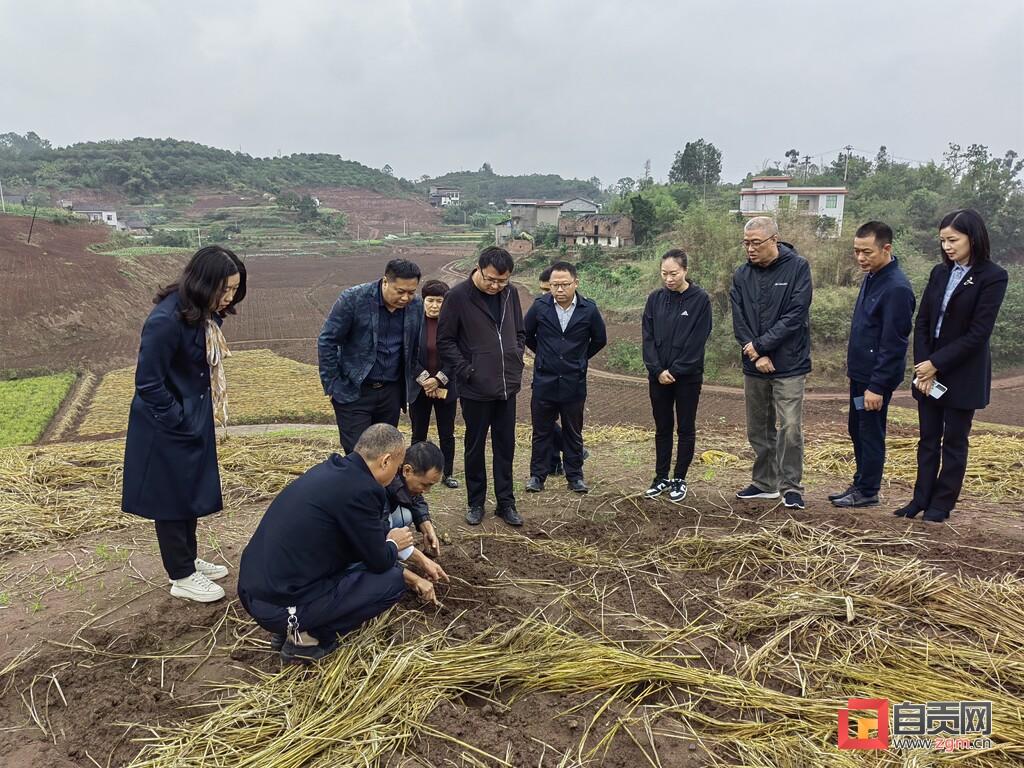 自贡市城市社会经济调查队最新动态报道速递
