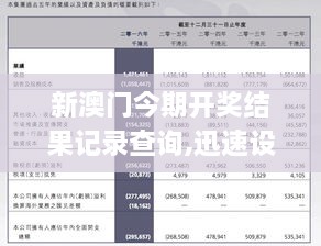 新澳门今晚开什9点31,灵活解析设计_kit26.978