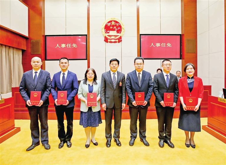 宝安区数据和政务服务局人事任命最新动态及解析