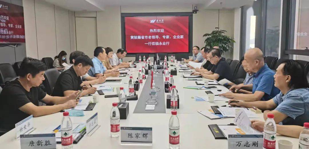 永业集团迈向未来的战略蓝图，最新发展规划揭秘