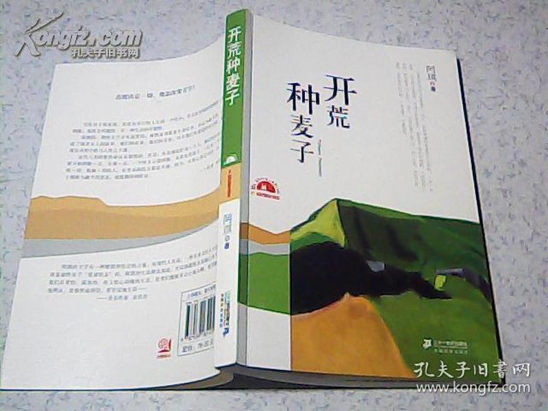 开荒最新新书，探索未知文学领域的冒险之旅