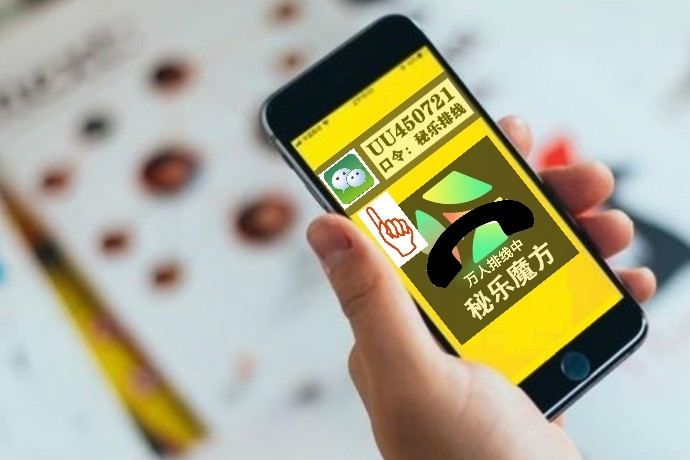最新秘乐排线，魅力与深远影响