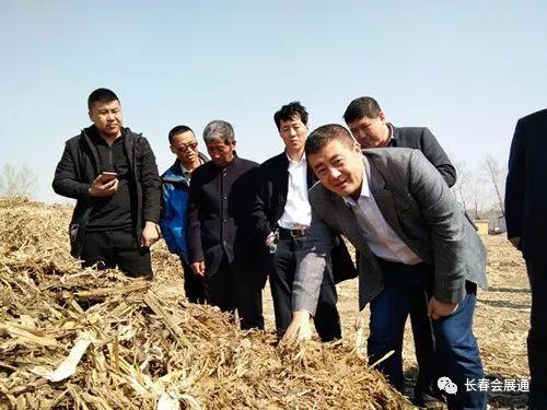 兴隆堡镇最新项目，引领地区发展的强大动力之源