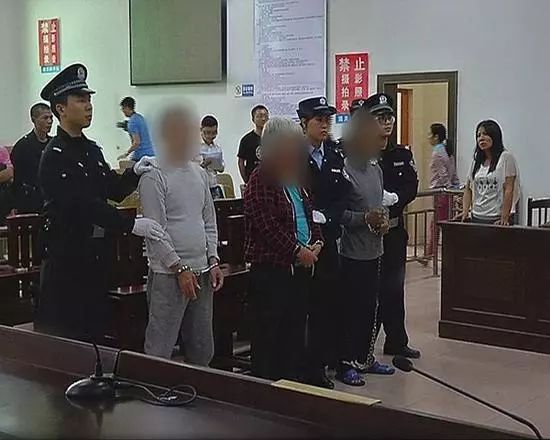 柴桥子村委会最新动态报道