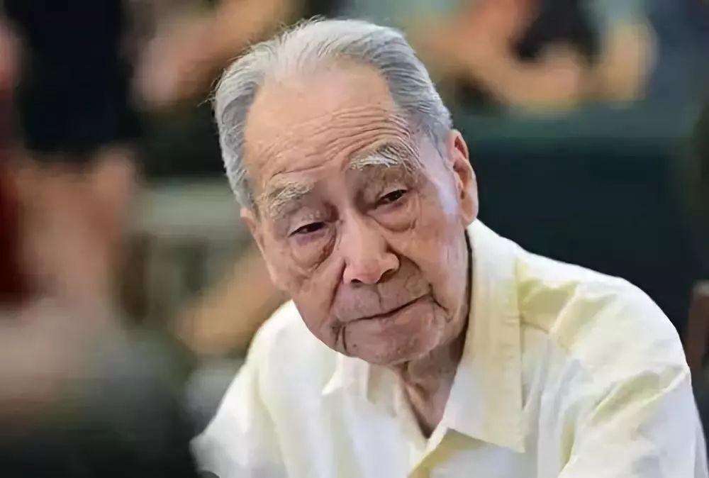 许渊冲最新学术贡献及其影响概述