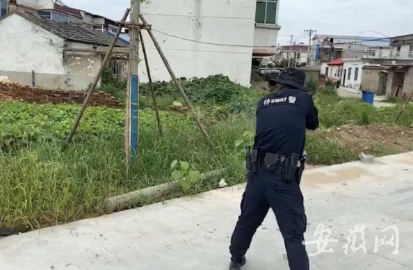 华阳河农场总场最新天气预报汇总