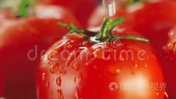 西红柿最新视频，探索美味与健康的新领域之旅