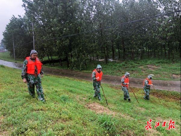 长江武汉汛情最新分析报告