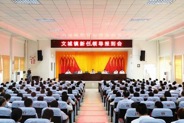 都城镇新任领导引领变革，塑造未来新篇章