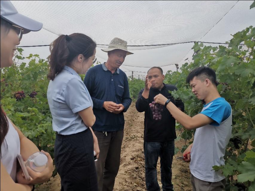 玉泉营农场最新项目，引领现代农业发展的典范典范