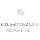 石崖村委会领导团队引领村庄迈向新篇章，新任领导引领发展之路